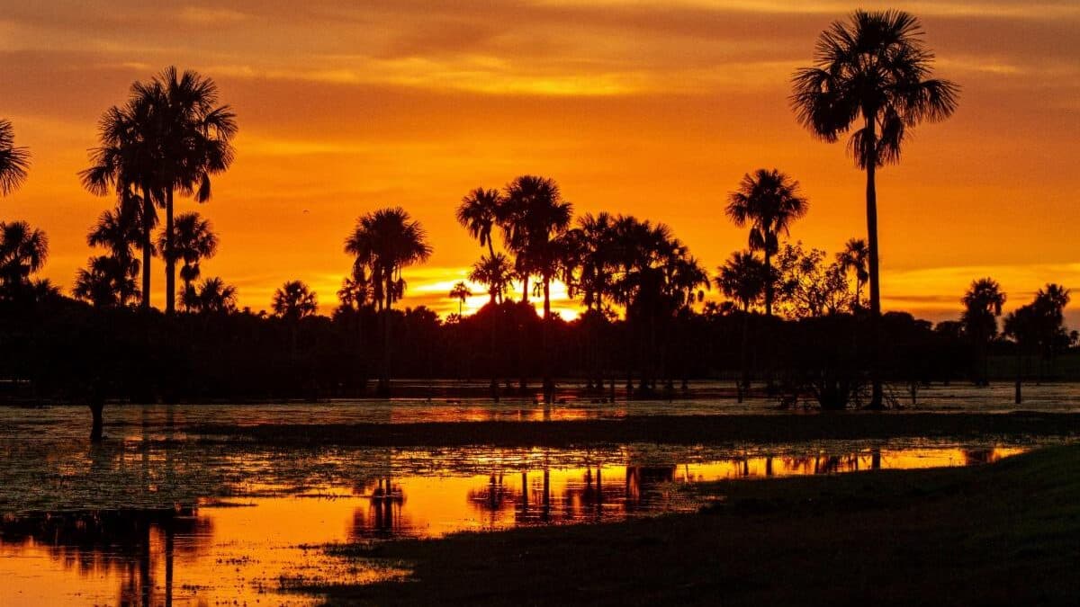 Atardecer en Casanare para grabación aérea con dron